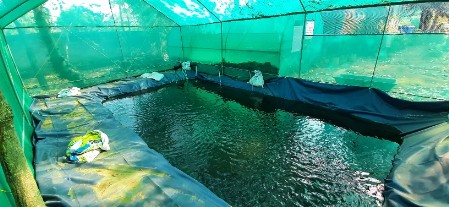 aquaculture2